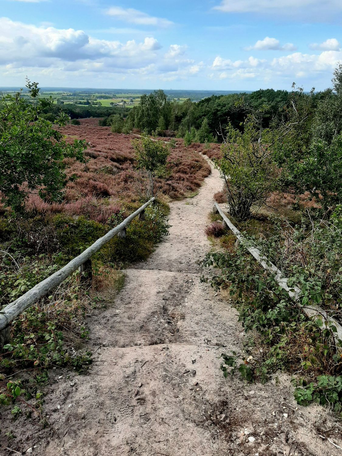 Midsummer Mega Trail (MMT) 2026