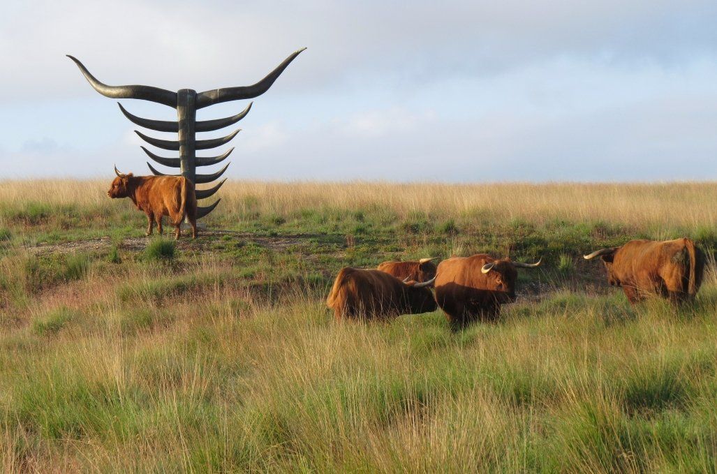 Trailavontuur Posbank, 29 - 31 januari 2027