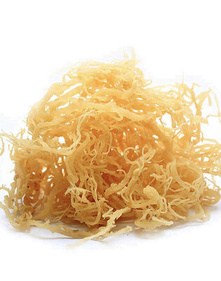 Sea Moss