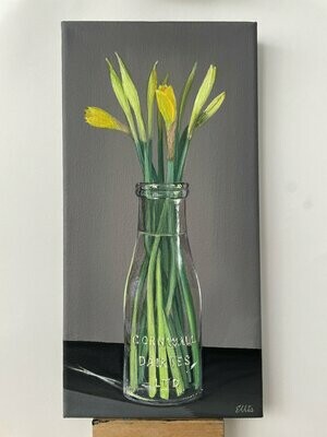 'Cornish Daffodils'