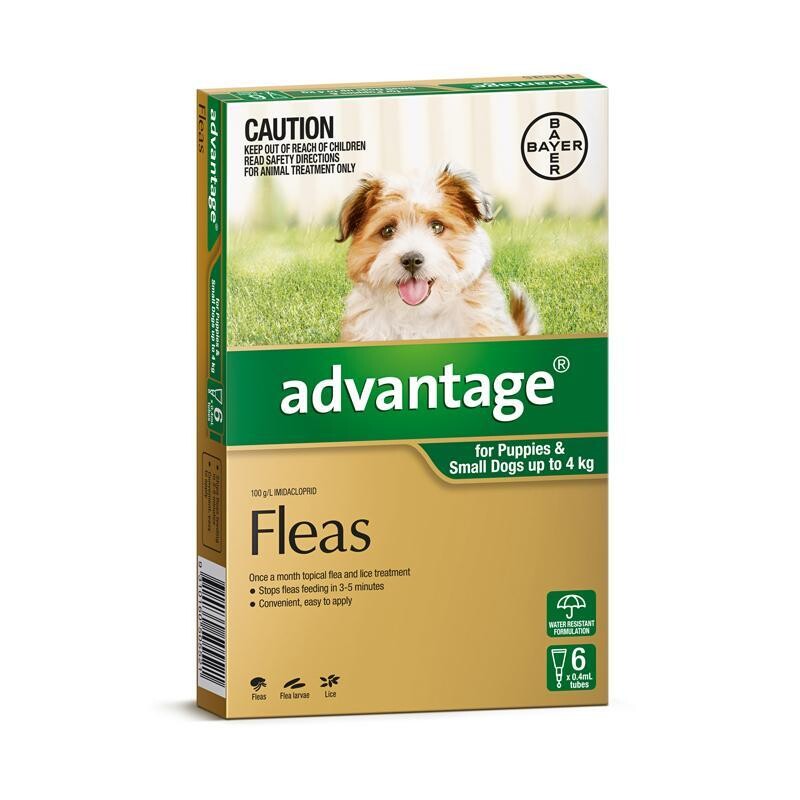 Advantage Small Dog (6 Pack) 0-4kg
