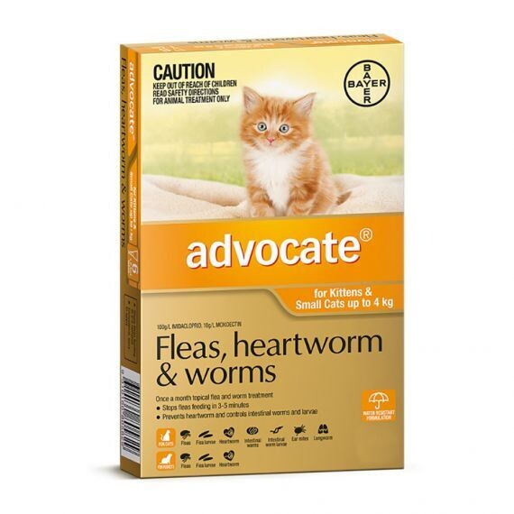 Advocate Small Cat (3 Pack) 0-4kg