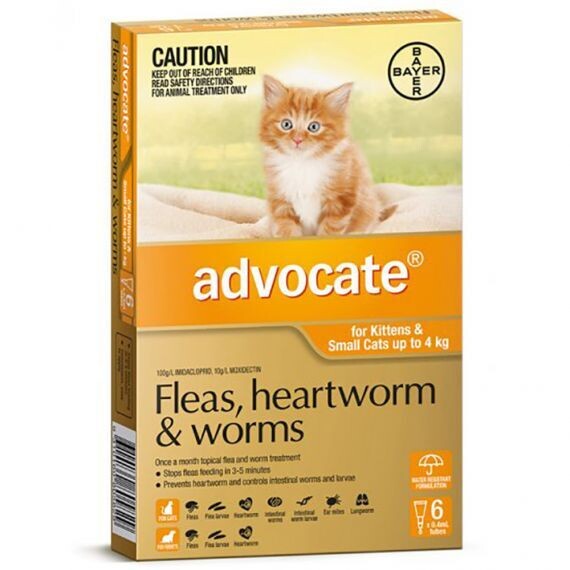 Advocate Small Cat (6 Pack) 0-4kg
