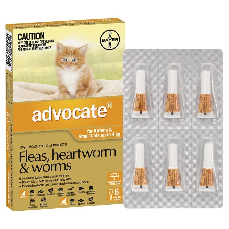 Advocate Small Cat (6 Pack) 0-4kg
