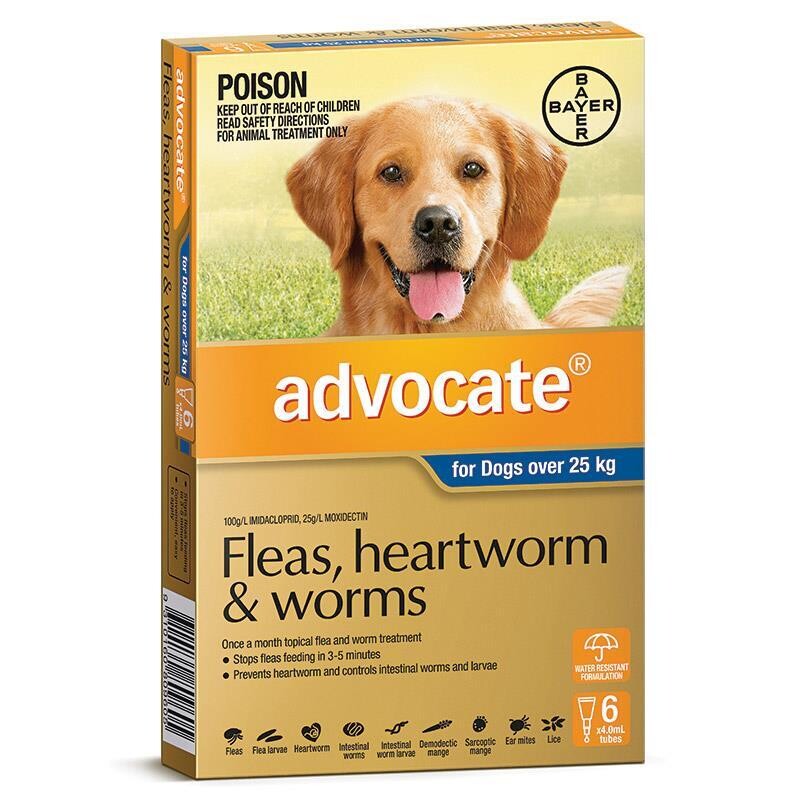 Advocate X Large Dog (6 Pack) 25kg+
