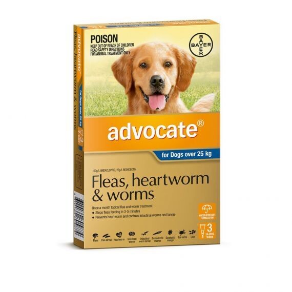 Advocate X Large Dog (3 Pack) 25kg+