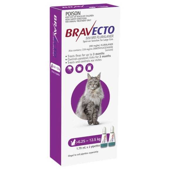 Bravecto CAT PURPLE 6.25-12.5Kg 2Pk