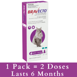 Bravecto CAT PURPLE 6.25-12.5Kg 2Pk