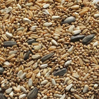 Avigrain Small Parrot 20kg