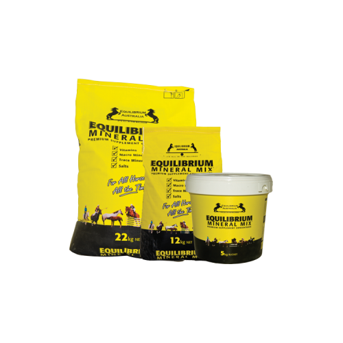 Equilibrium 12kg Yellow