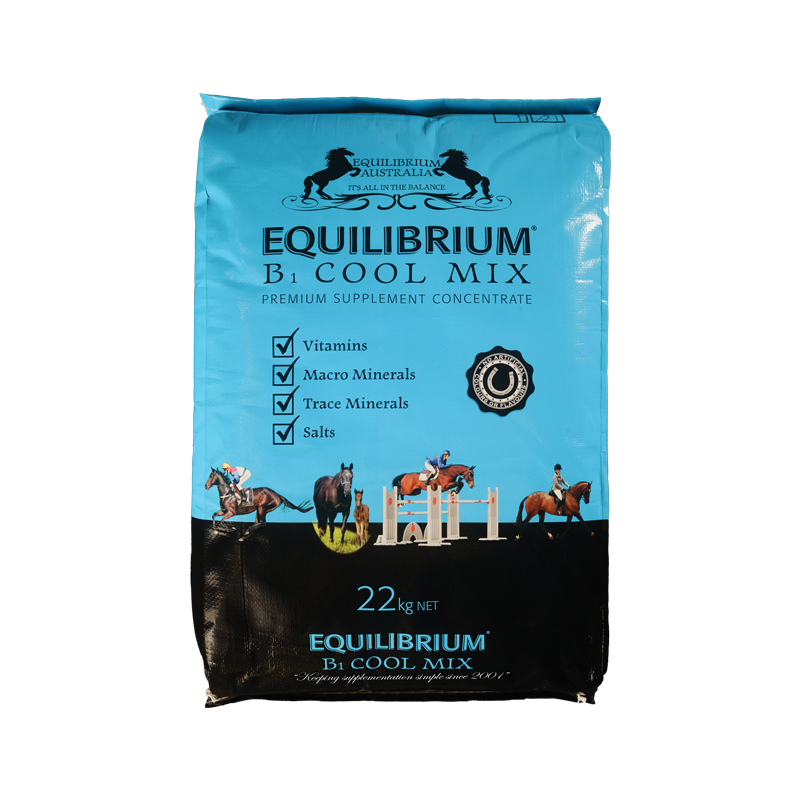 Equilibrium B Cool 22kg