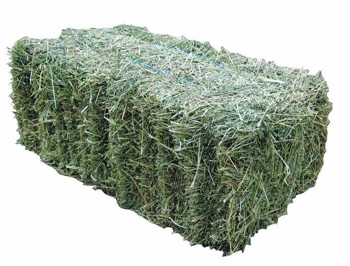 Hay Lucerne Prime Bale