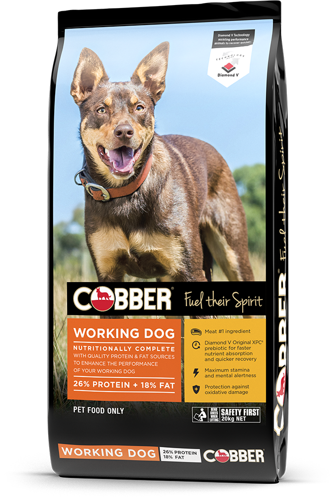 Cobber Working - 20kg Cobber Working - 20kg