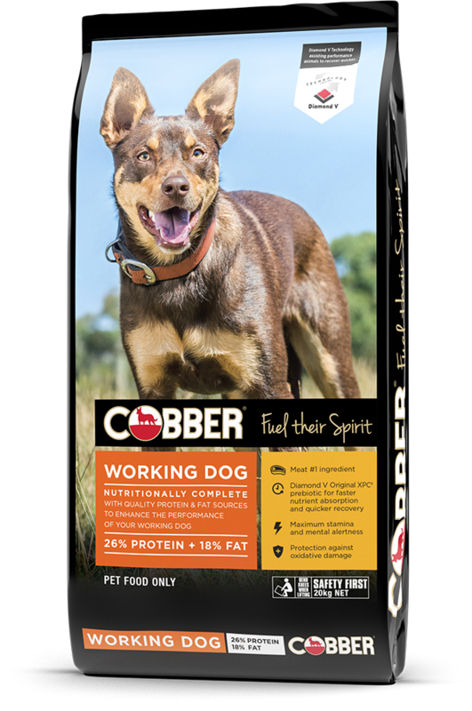 Cobber Working - 20kg