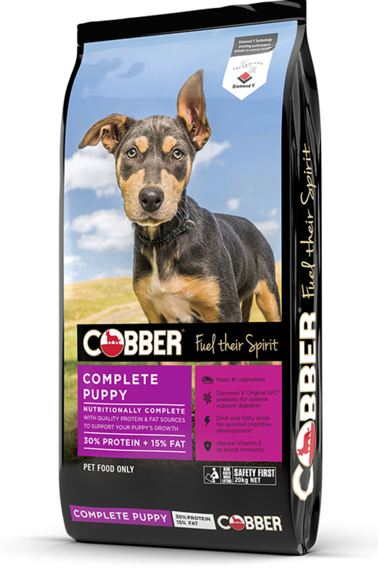 Cobber Puppy - 20kg
