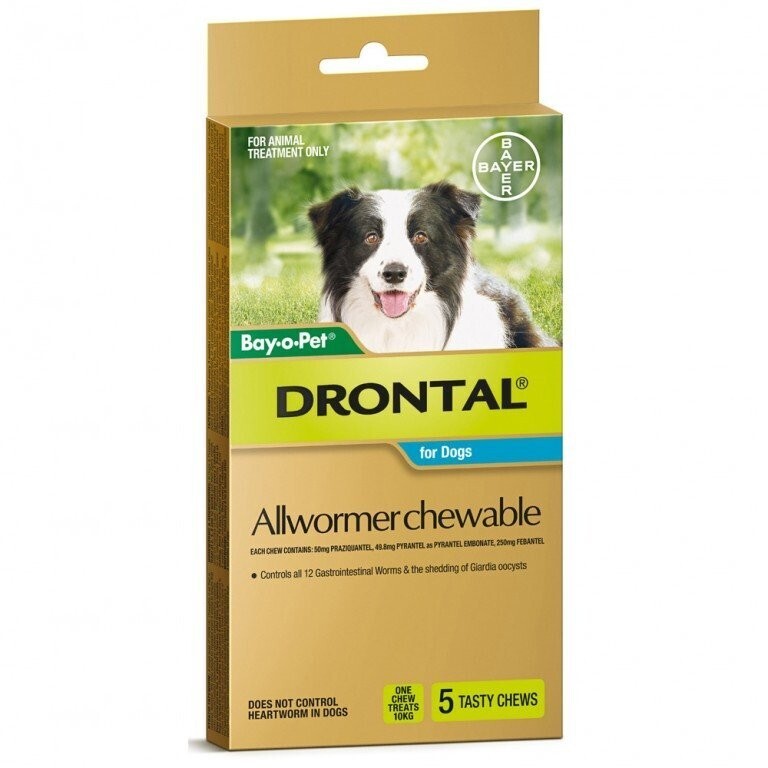 Drontal Chewable MEDIUM Dog 5 Chews