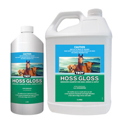 Troy Hoss Gloss 1L