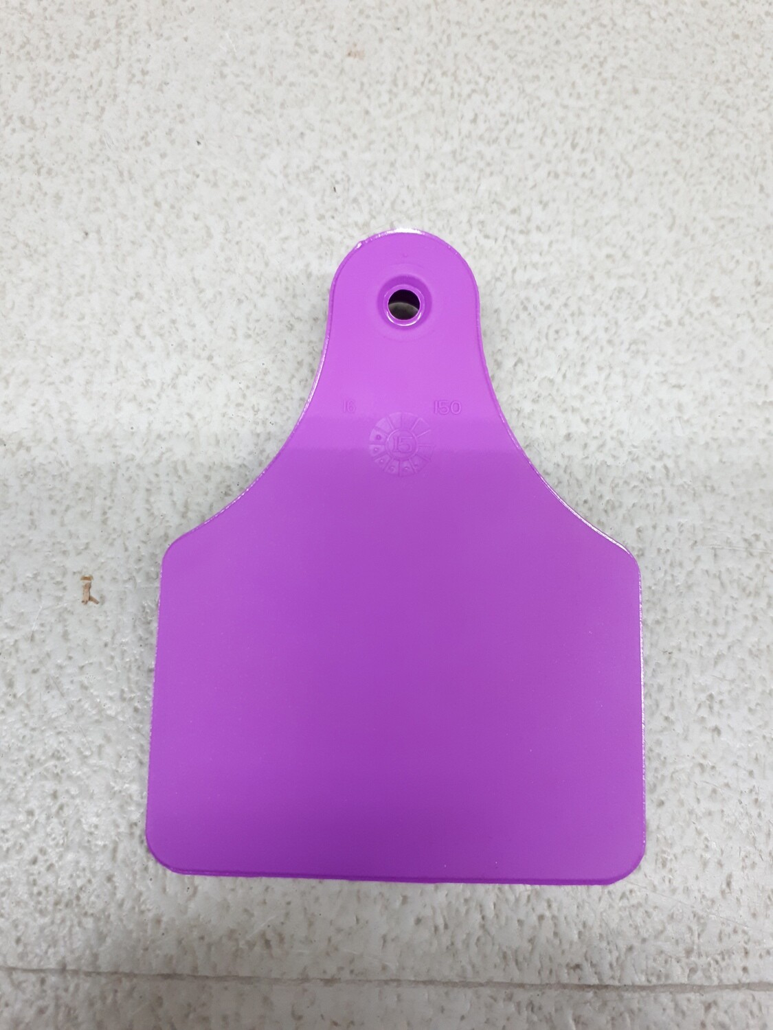 Lazatag Large Female Purple (06JLZ)