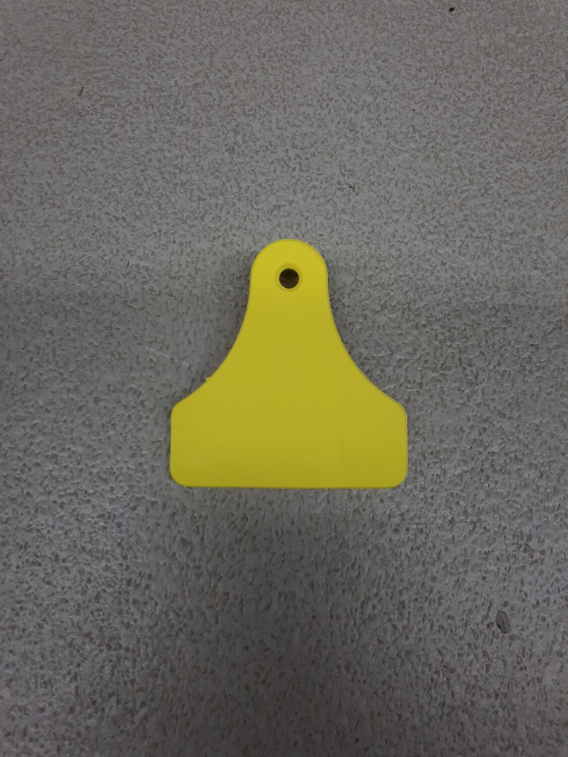 Lazatag Medium Female Yellow (04YLZ)