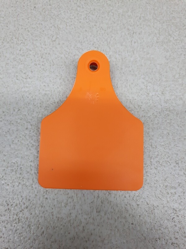 Lazatag Large Female Orange 06ELZ