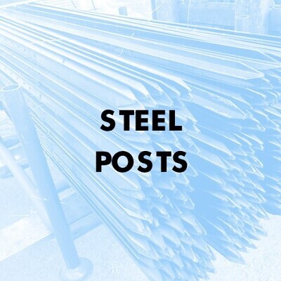 Steel