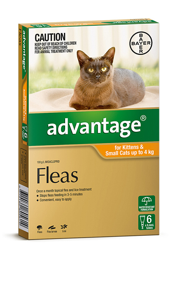 Advantage Small Cat (6 Pack) 0-4kg