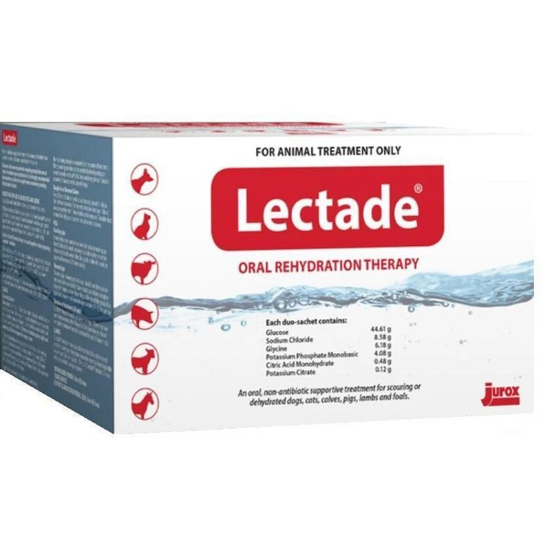 Lectade Duo Sachets 64g