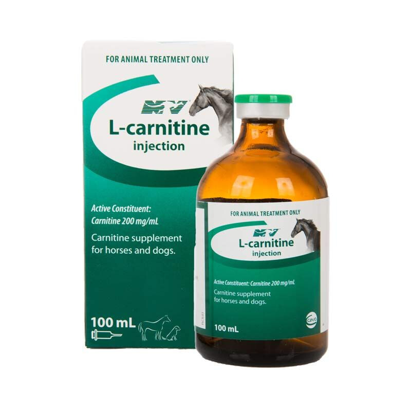 L-Carnitine 100ml Injection Nature Vet