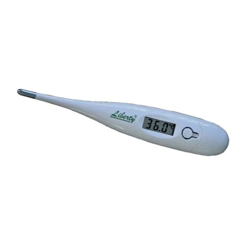 Thermometer Rapid Read