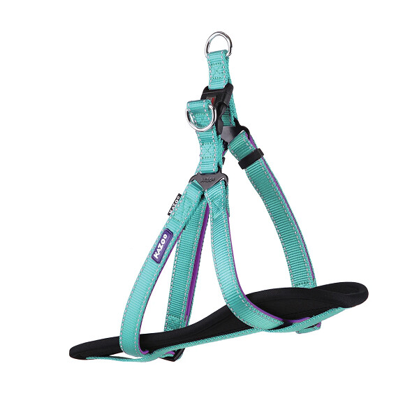 KAZOO Active - Walking Harness Medium Aqua / Purple