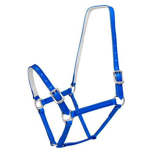 Horse Sense 3/4&#39; BUCKLE HALTER Pony S.Blue