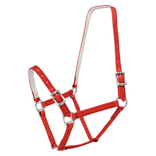 Horse Sense 3/4&#39; BUCKLE HALTER Cob Red