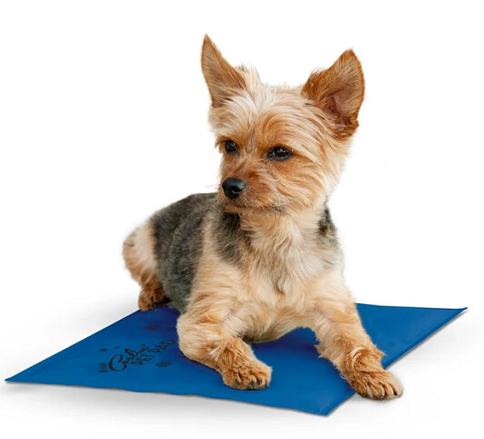 K &amp; H Coolin Mat 38x28cm