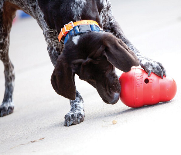 KONG Wobbler Large