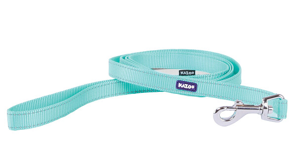Kazoo Classic Lead 120cm x 25mm Mint