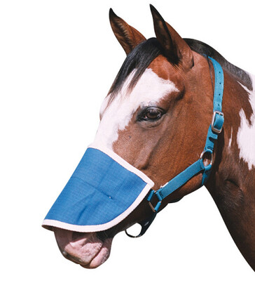 Canvas Nose Protector