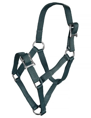 Rancher ROKO FOAL HALTER Hunter Green