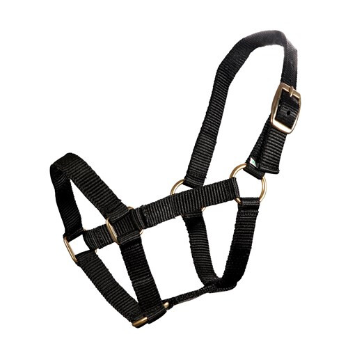Halter Piccolo Mini MEDIUM Black
