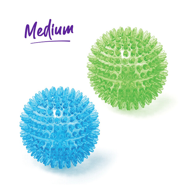 Kazoo ToughChewing Space Balls             M  8cm Green / Blue