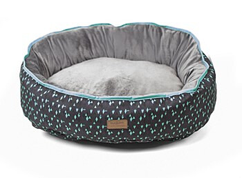 Funky Bed W/Cushion - Teal L