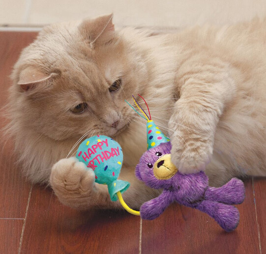 Kong Cat Occassions BIrthday Teddy