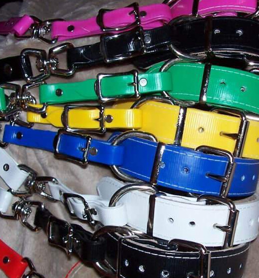 Apollo Strapping Collar &amp; Lead Set - Assorted Colo