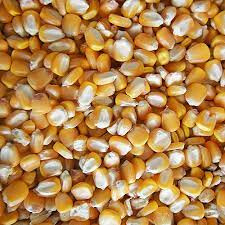 Riverina Corn Whole 20kg