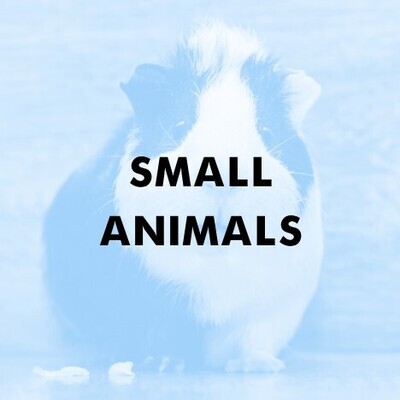 Small Animals