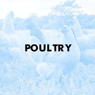 Poultry