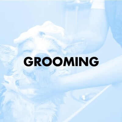 Grooming