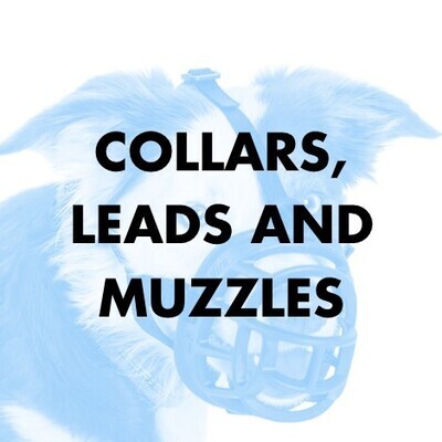 Collars, Leads and Muzzles