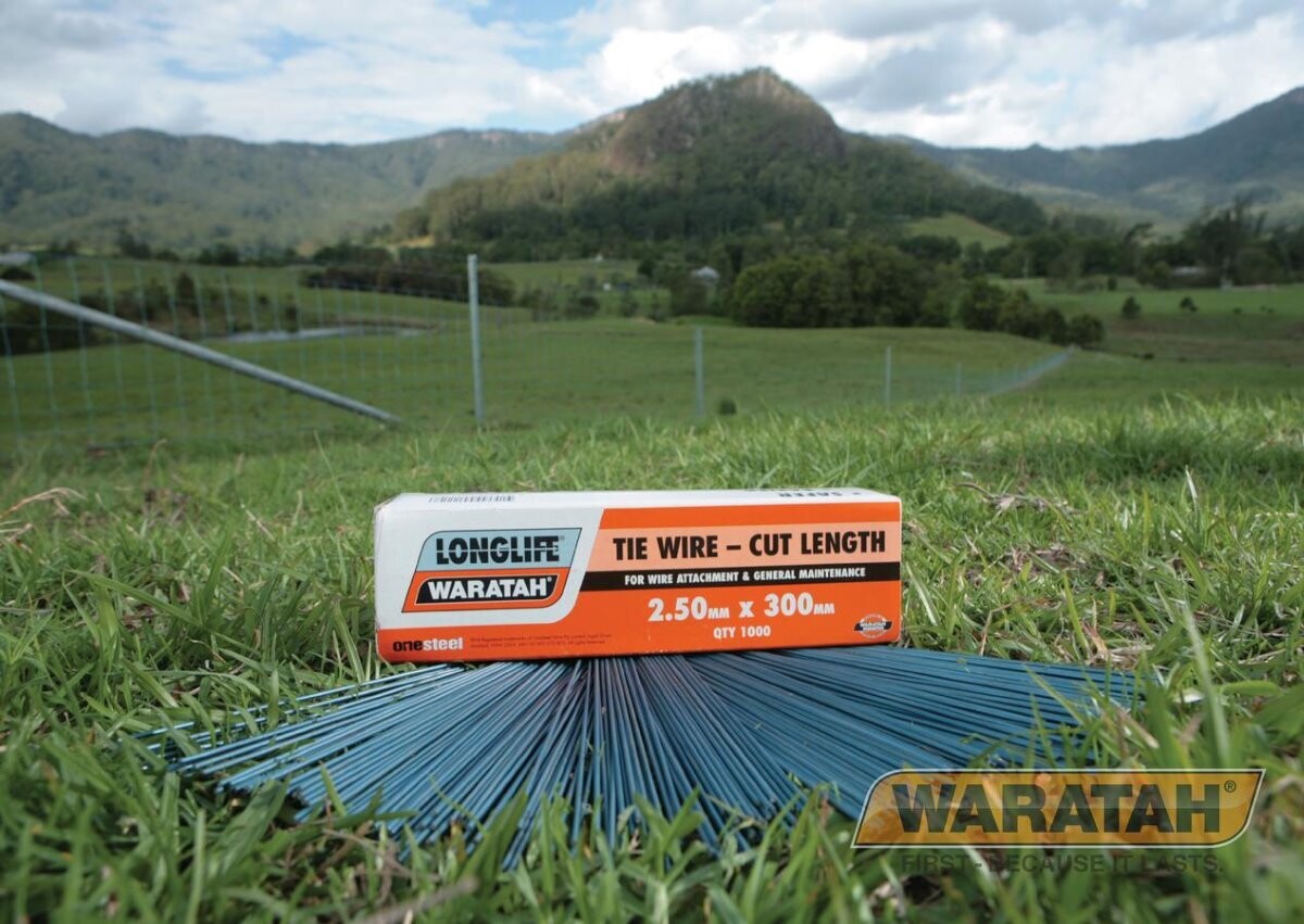 Waratah - Cut Lengths 2.5mm x 300mm Box 1000