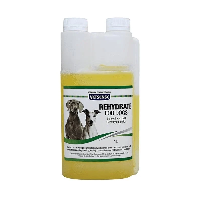 Rehydrate for Dogs 1L VETSENSE