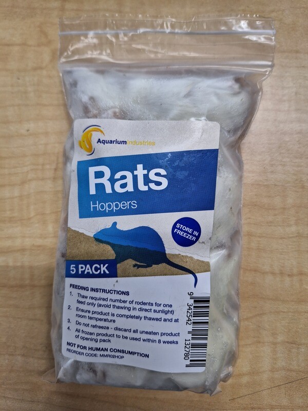 Rats Hoppers 5pk